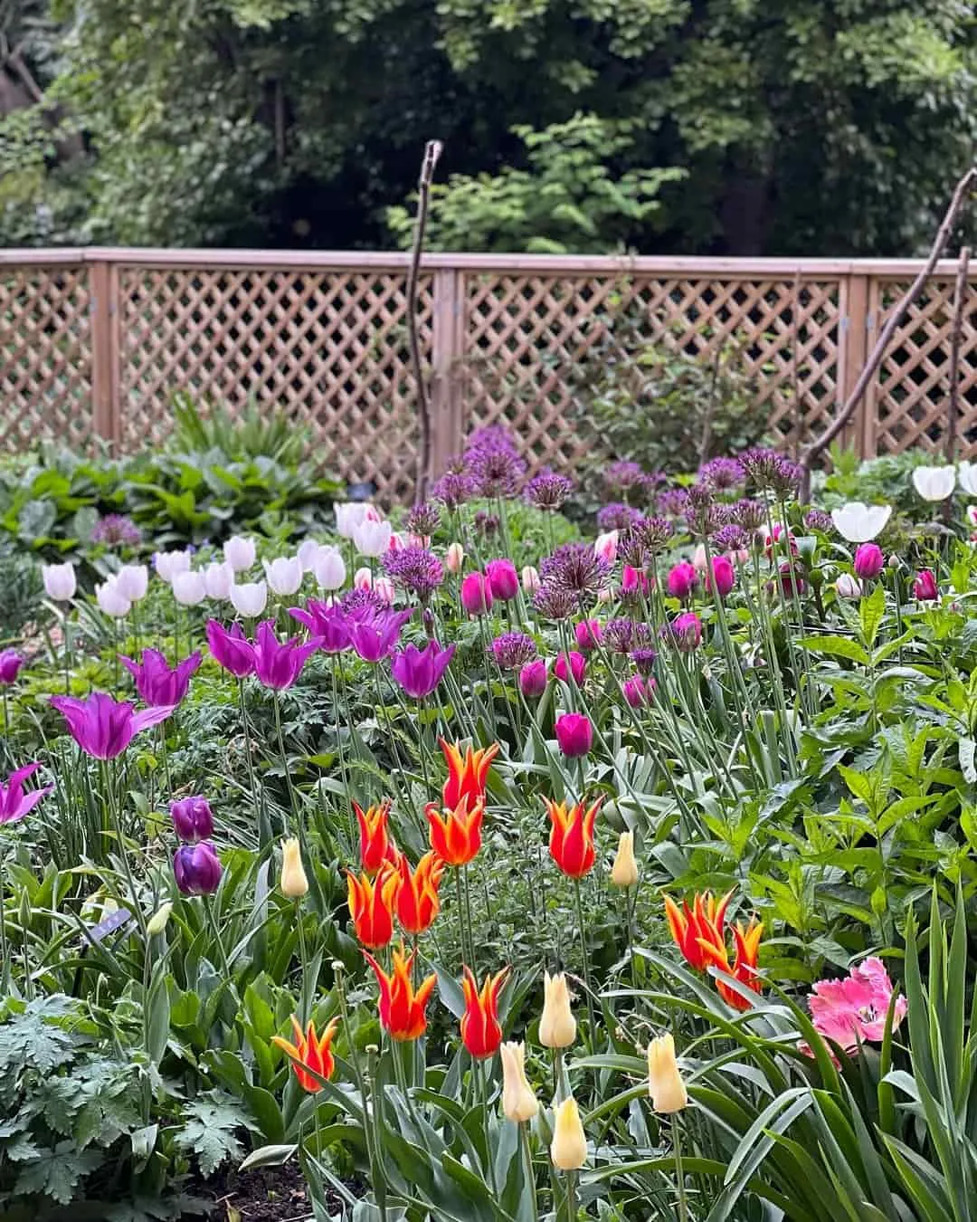 St James’s Park St James’s Park