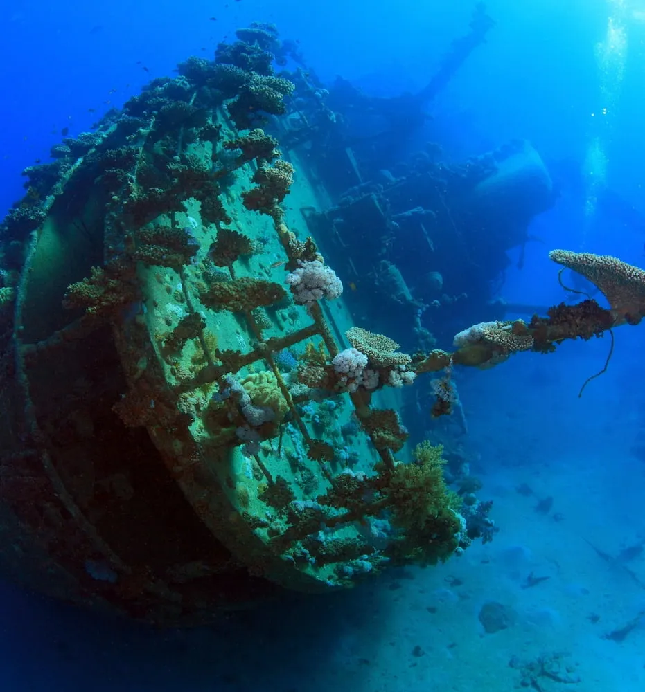 Liberty Glo Liberty Glo