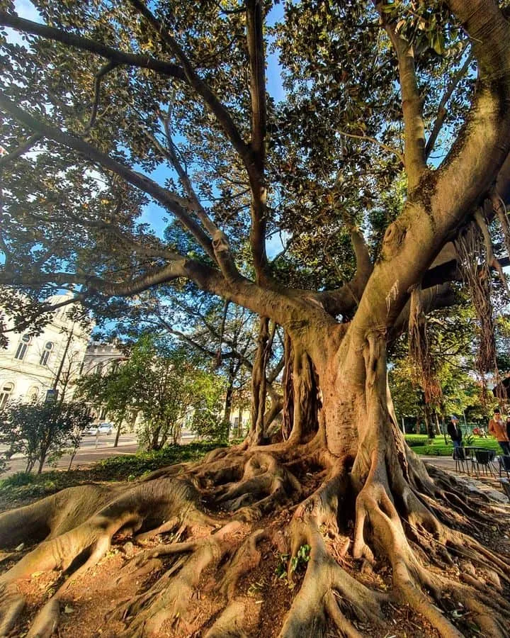 Príncipe Real Príncipe Real