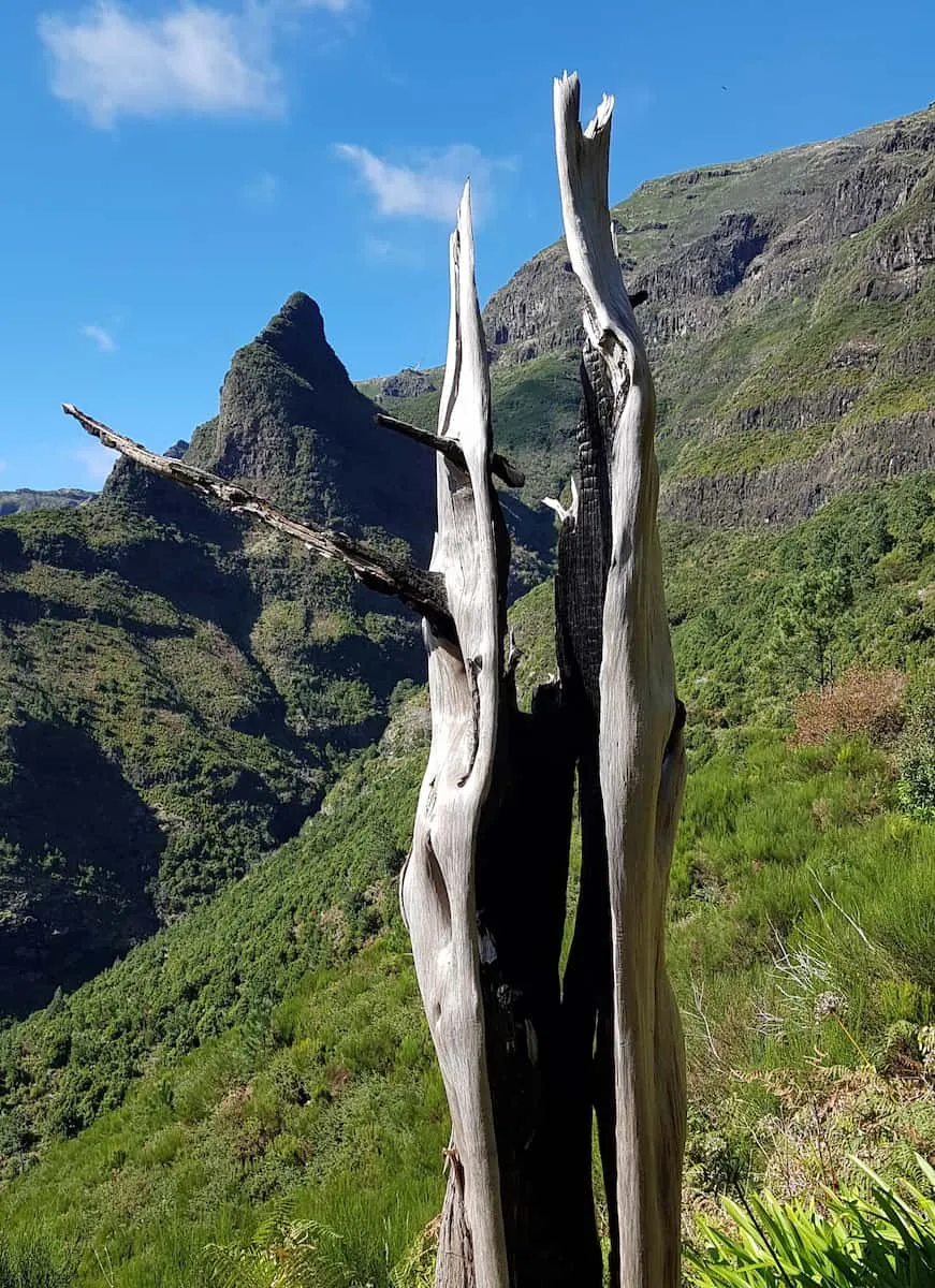 Serra de Água Serra de Água