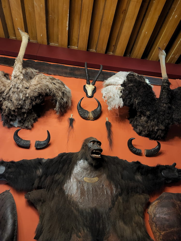 Museo de Historia Natural Museo de Historia Natural