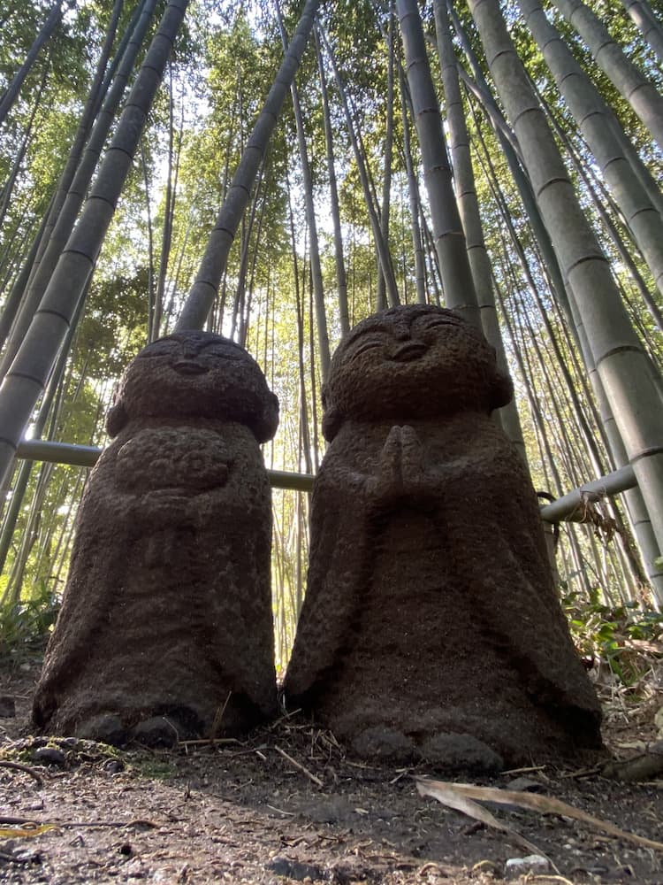 Bosque de bambú Bosque de bambú