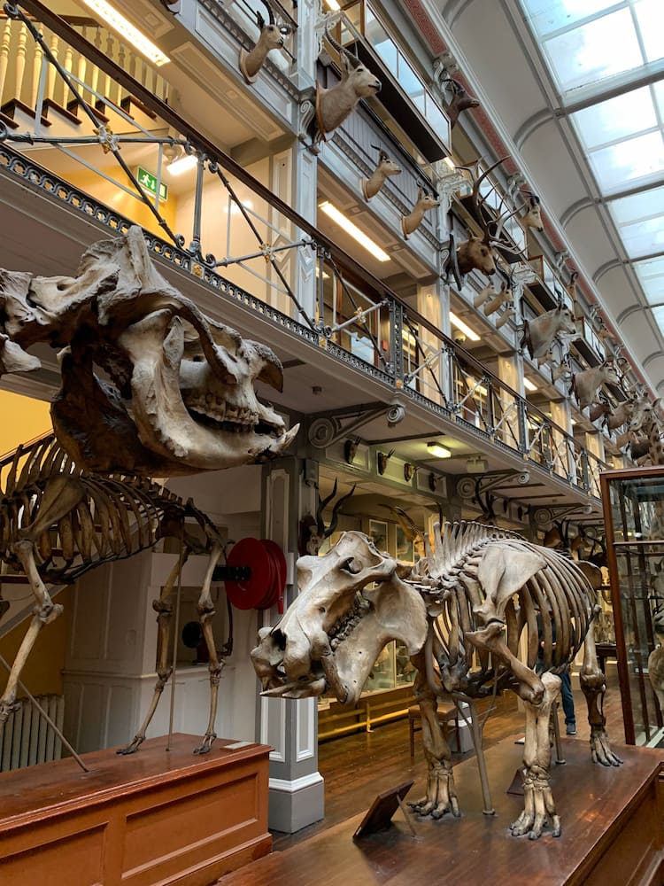 Natural History Museum Natural History Museum