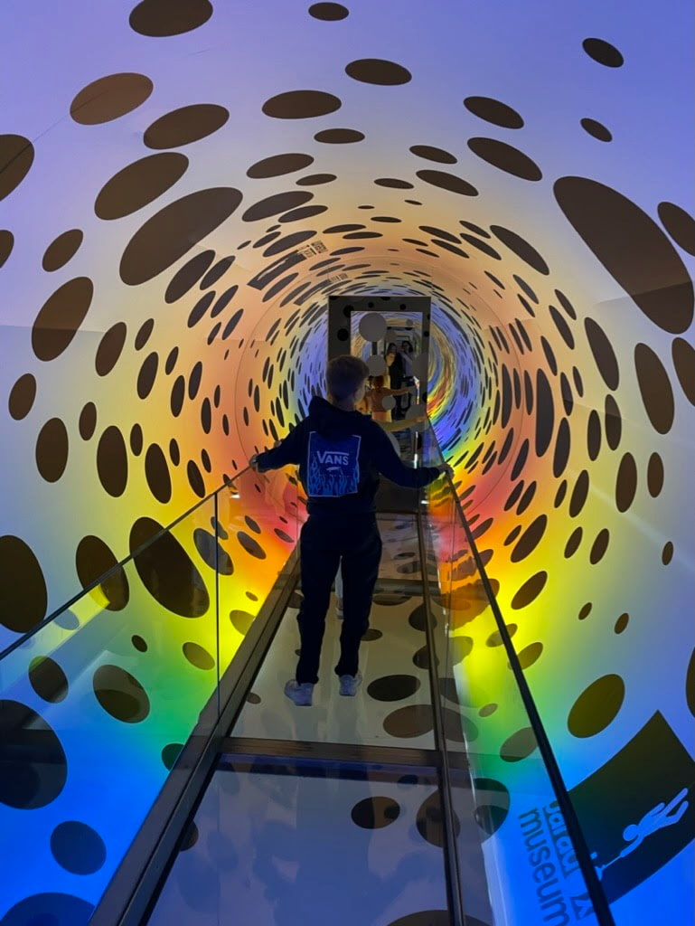 Paradox Museum Paradox Museum