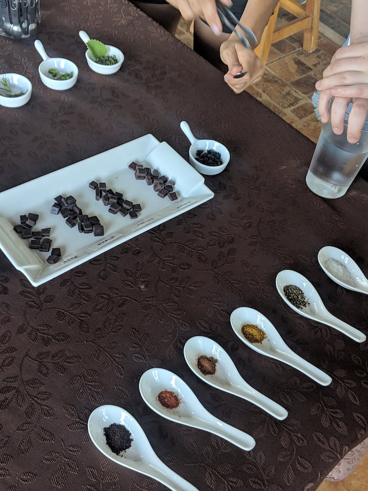 Jaguar Rescue Center Jaguar Rescue Center