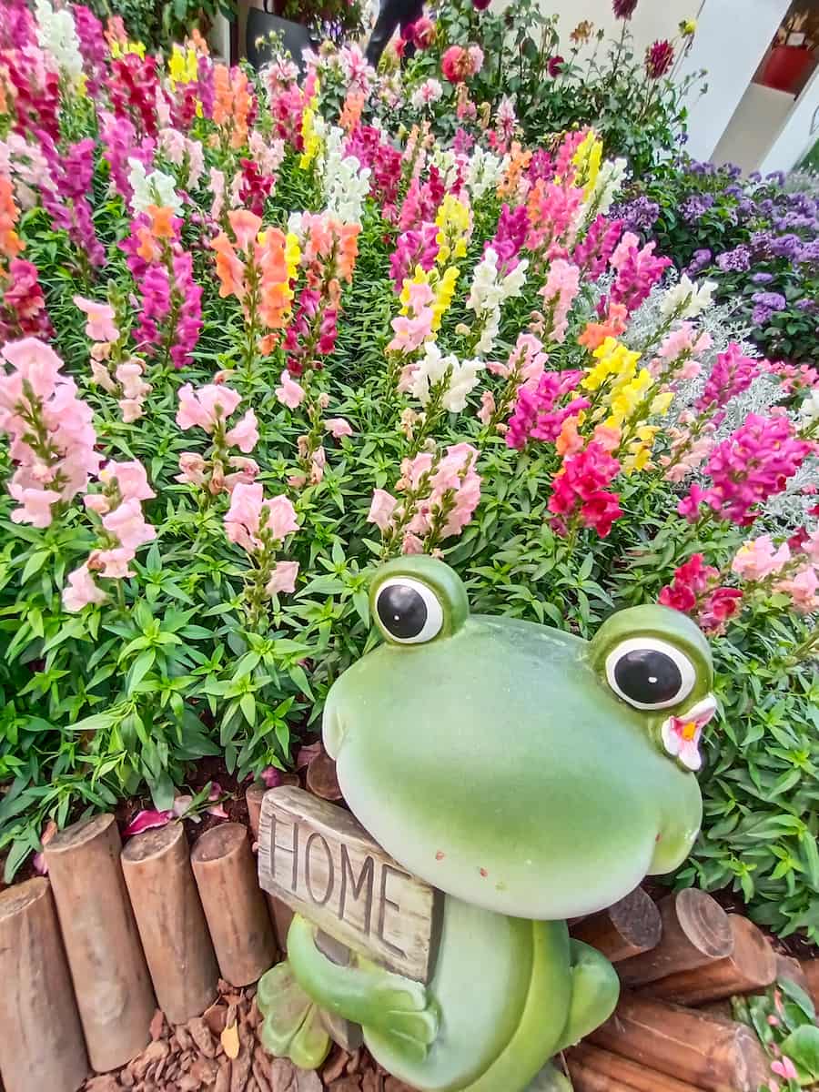 Parque Forestal de Daan, Taipei Parque Forestal de Daan, Taipei