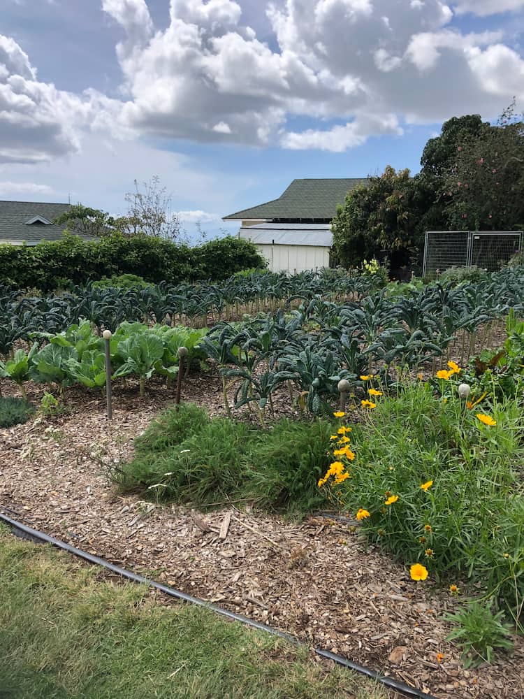 Kula, Maui Kula, Maui