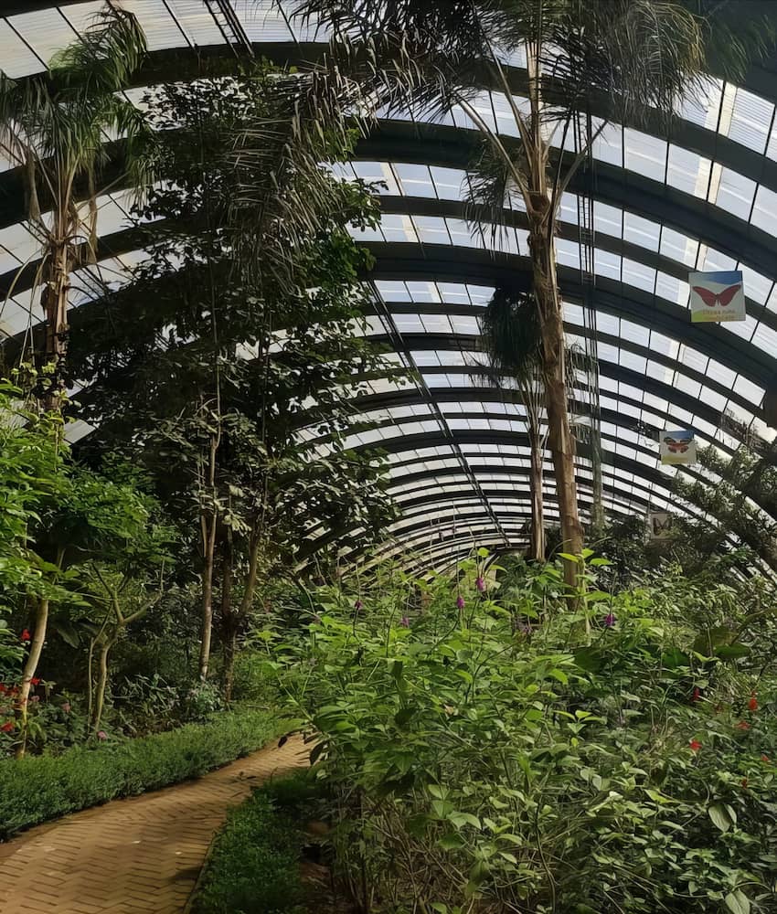 Monteverde Monteverde