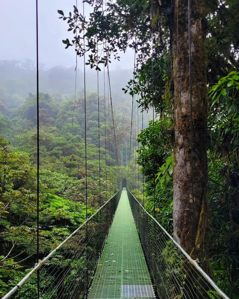 Monteverde Monteverde