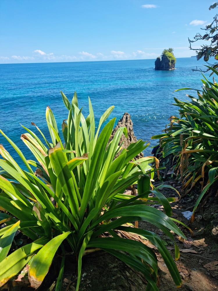 Puerto_Viejo_costa_rica-6 Puerto Viejo costa rica 6