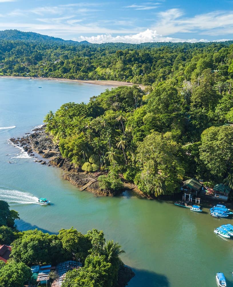 Península de Osa Península de Osa