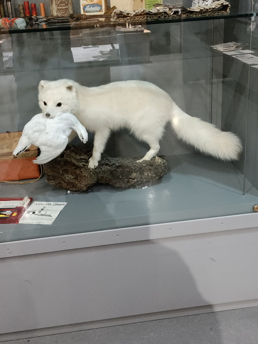 East Iceland Heritage Museum East Iceland Heritage Museum