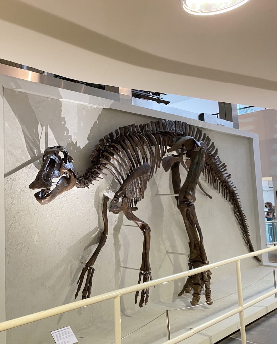 Ulster Museum Ulster Museum