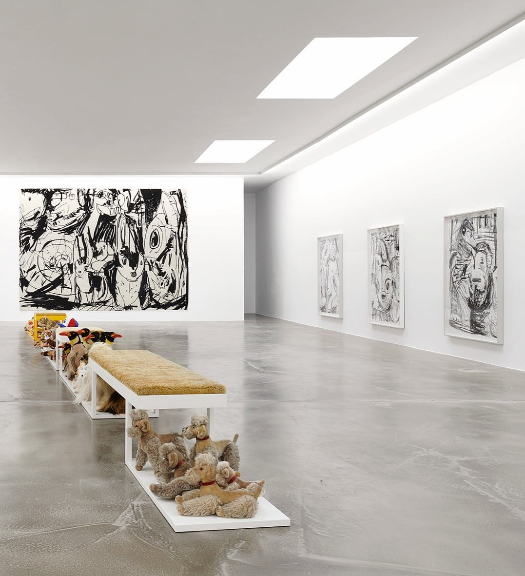 Barrio Belga, Colonia Barrio Belga, Colonia