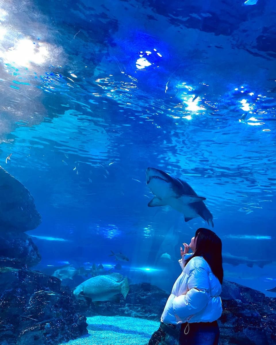 Haeundae, Busan Haeundae, Busan