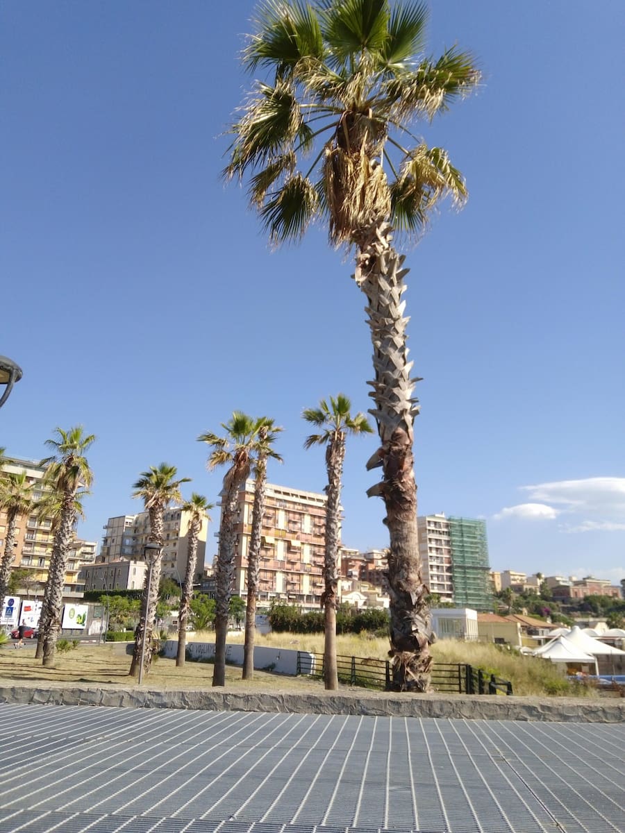 Picanello, Catania Picanello, Catania