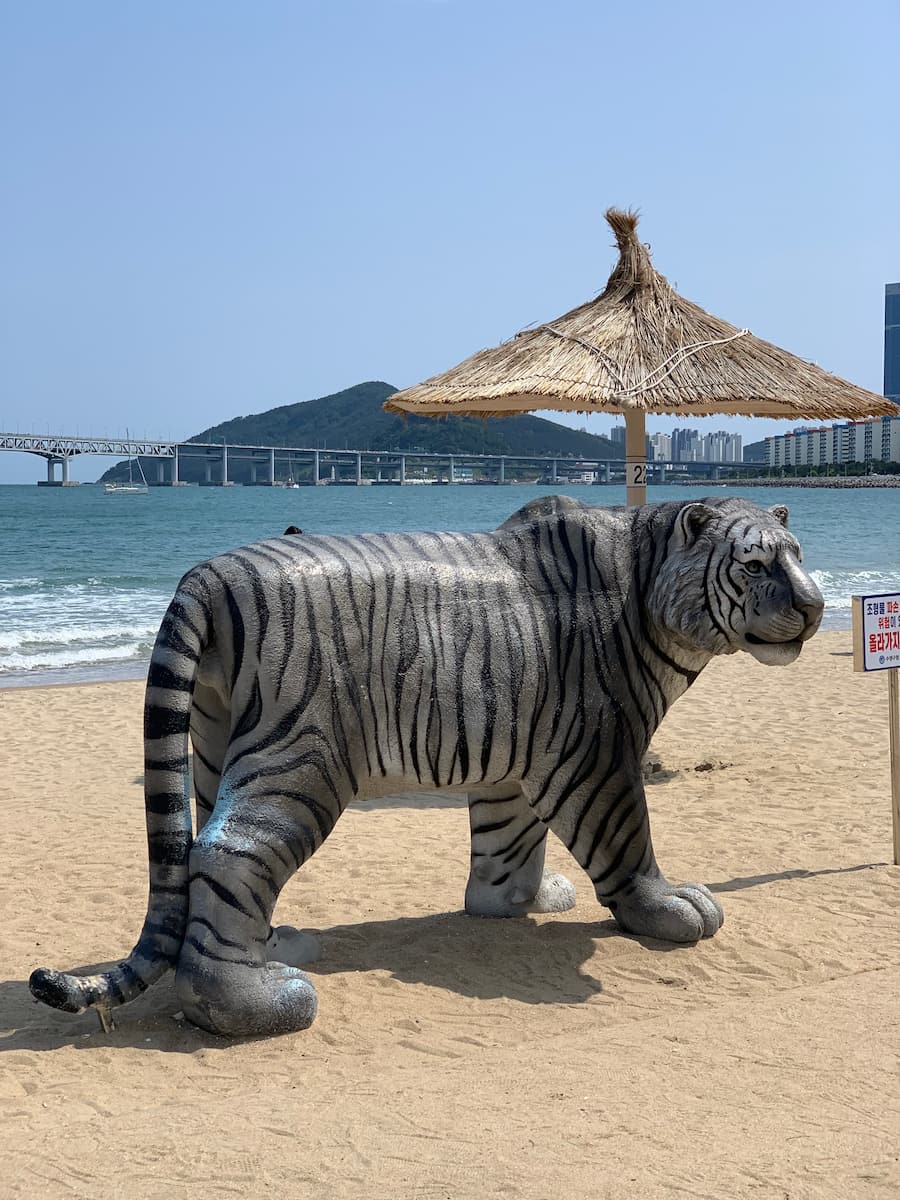 Gwangan, Busan Gwangan, Busan