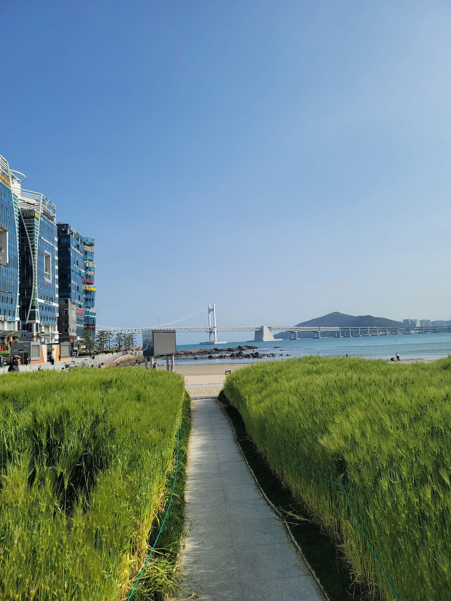 Gwangan, Busan Gwangan, Busan