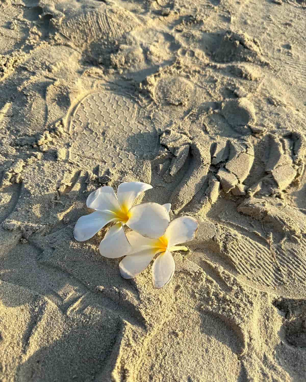 Playa de Karon, Phuket Playa de Karon, Phuket