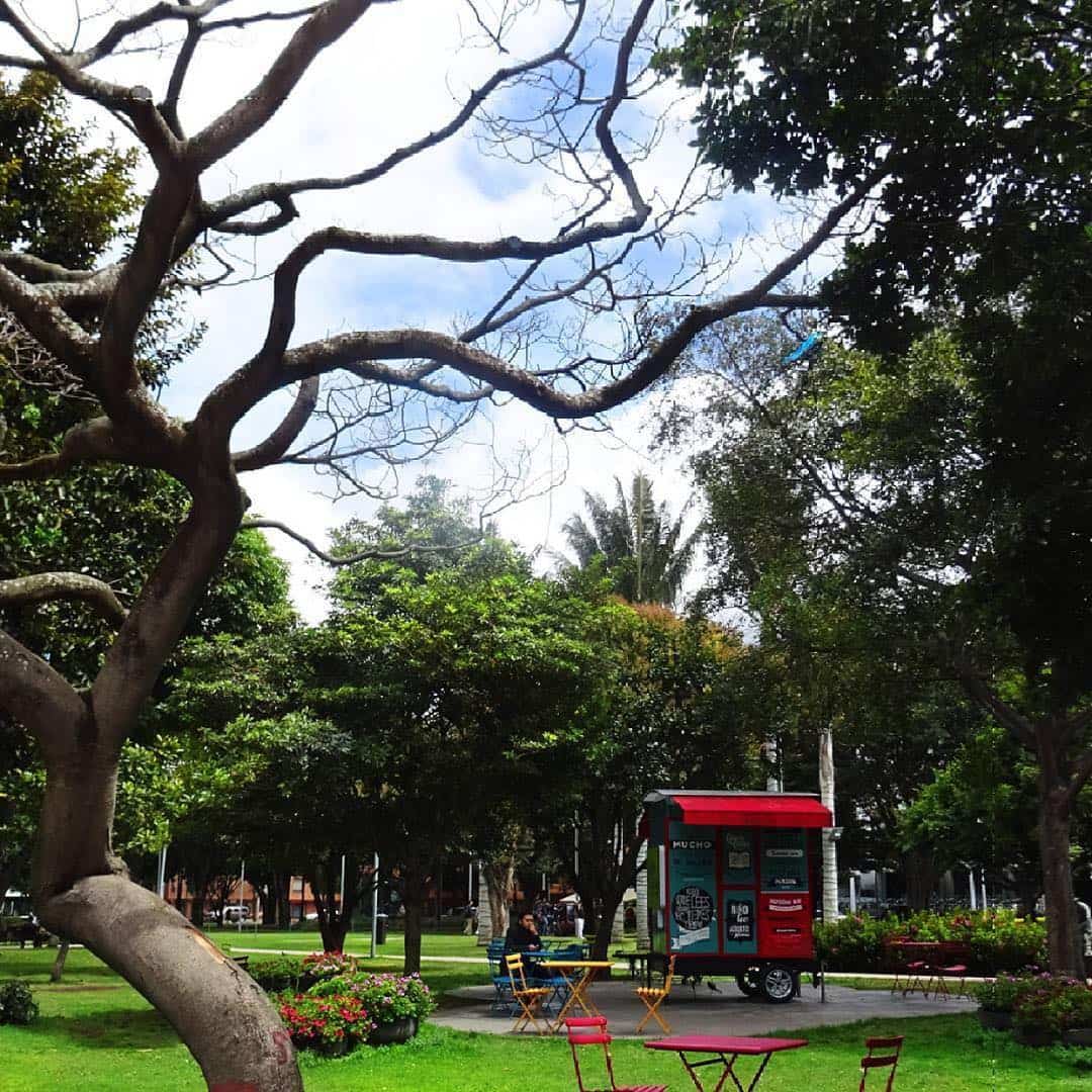 El Chico / Parque 93