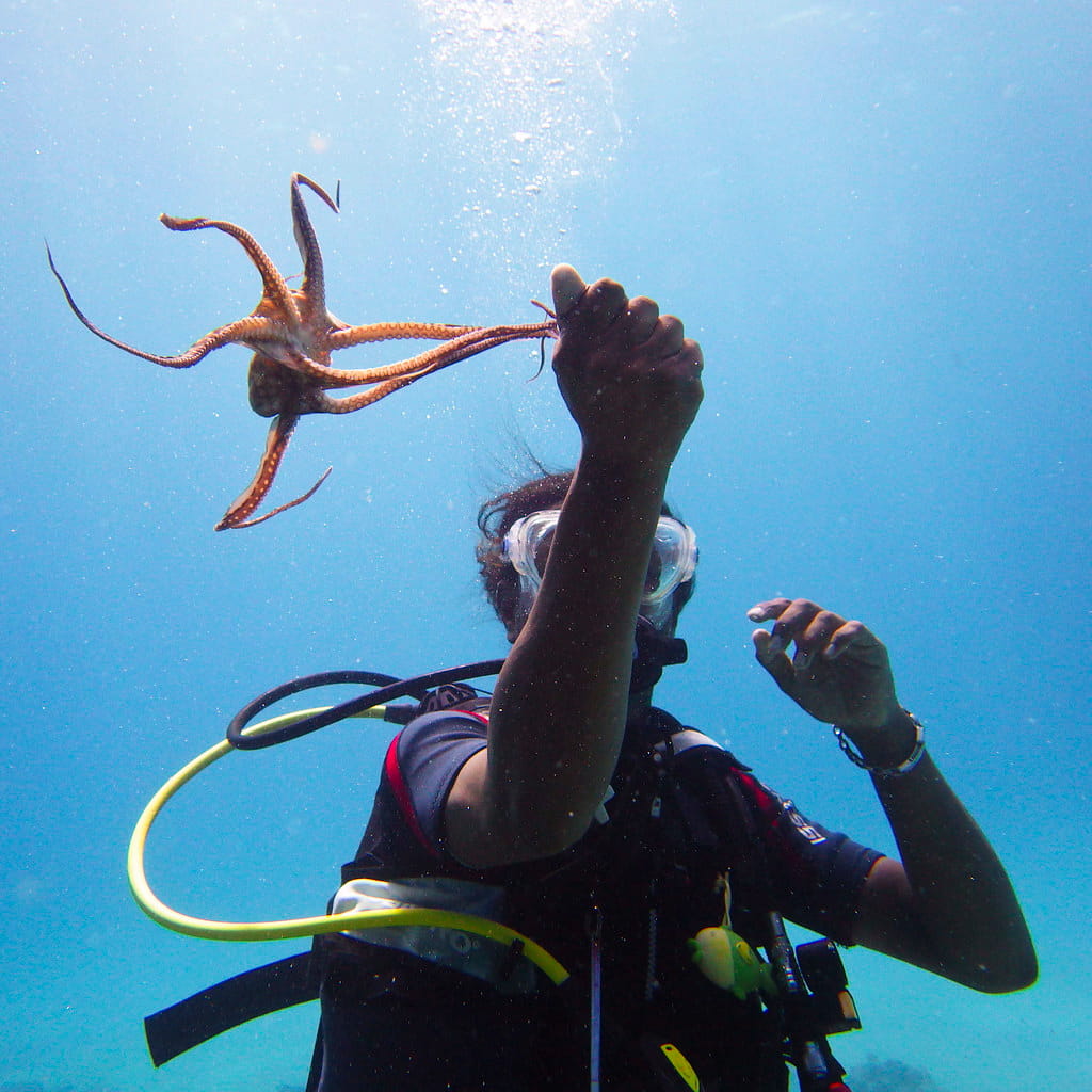 Le Morne, Mauricio Le Morne, Mauricio