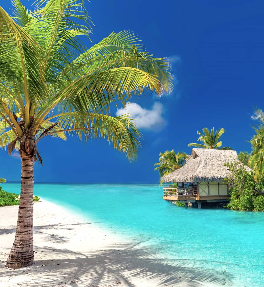 Pacific Harbour, Fiyi Pacific Harbour, Fiyi