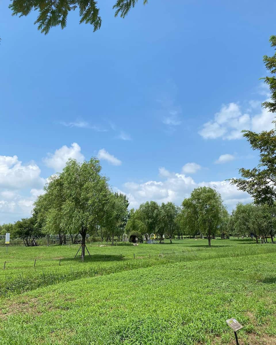 Sasang, Busan Sasang, Busan