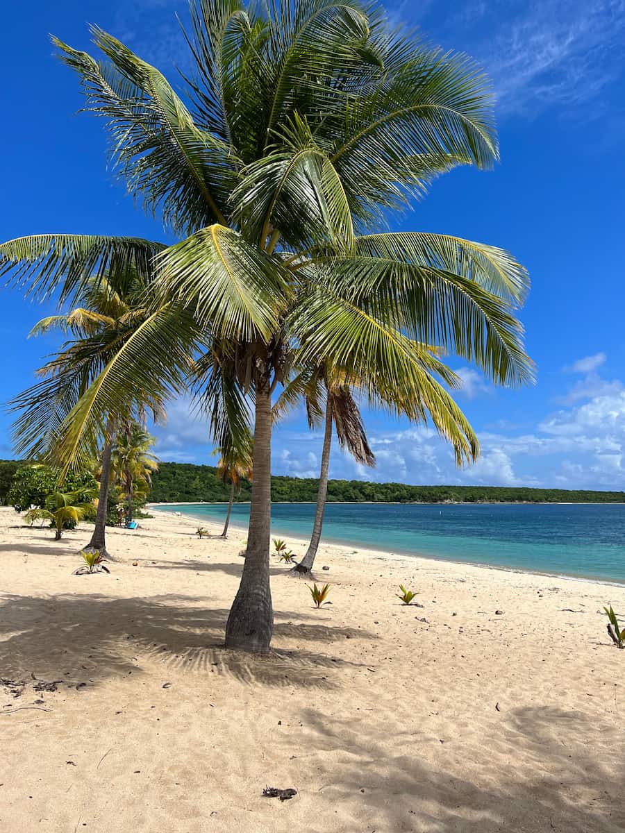 Vieques, Puerto Rico Vieques, Puerto Rico