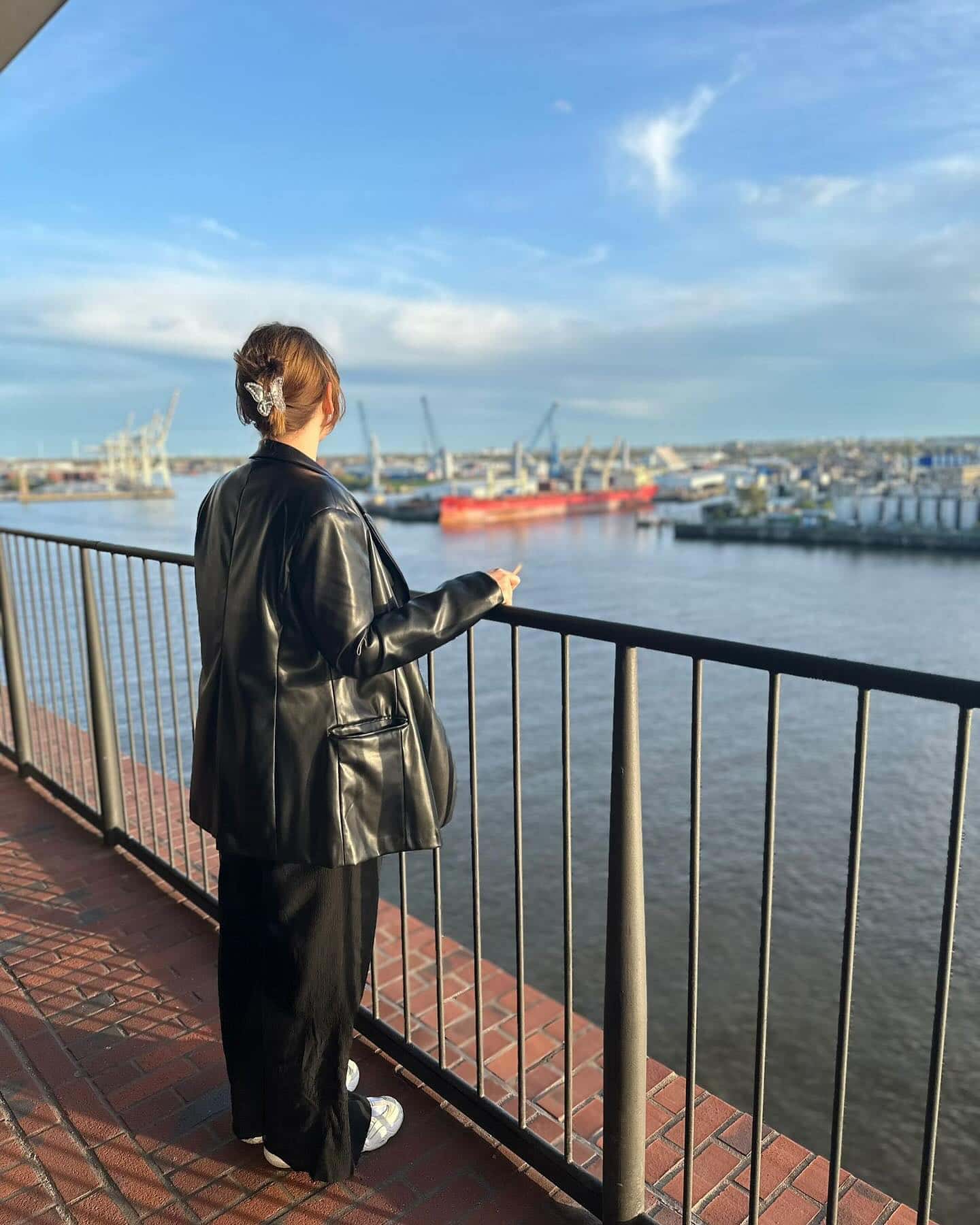 Mirador Elphi, Hamburgo, Alemania Mirador Elphi, Hamburgo, Alemania