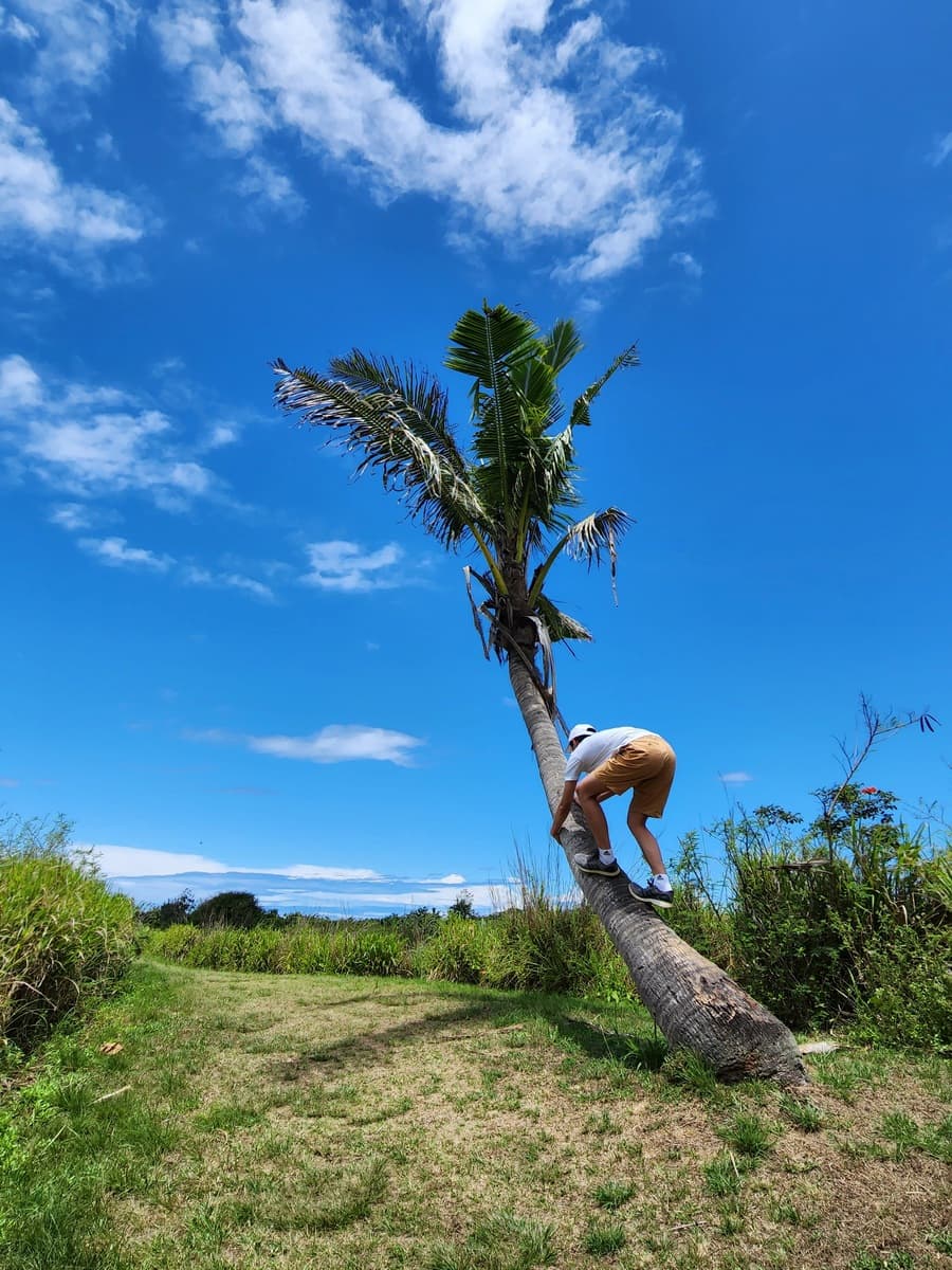 Viti Levu, Fiyi Viti Levu, Fiyi
