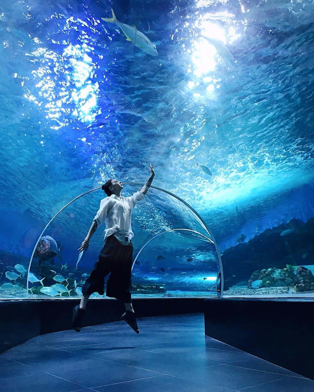 Manila Ocean Park, Ph Manila Ocean Park, Ph