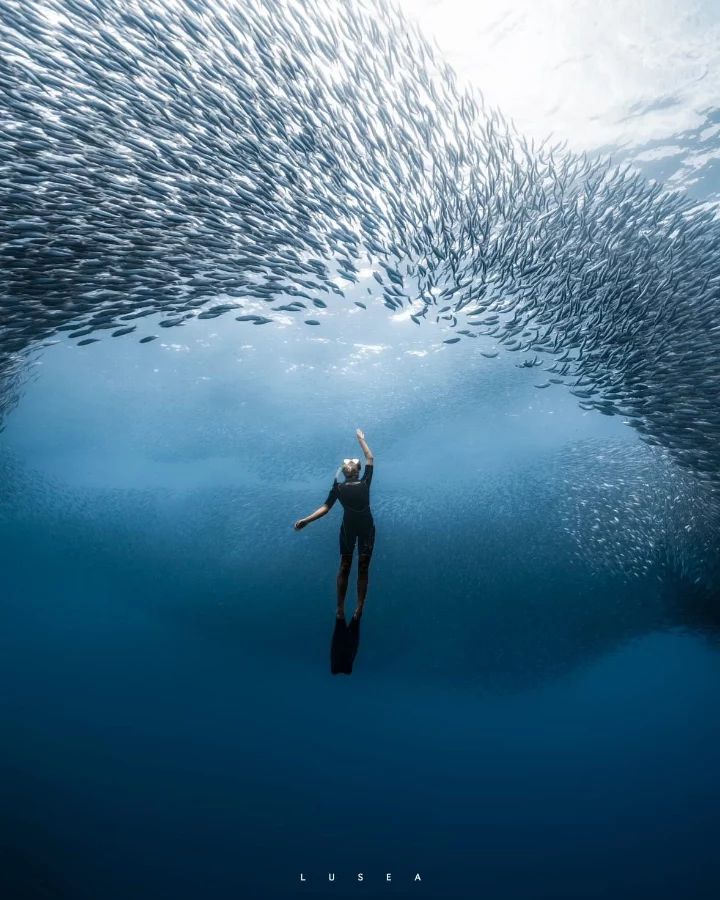 Panglao Island, Bohol, Ph