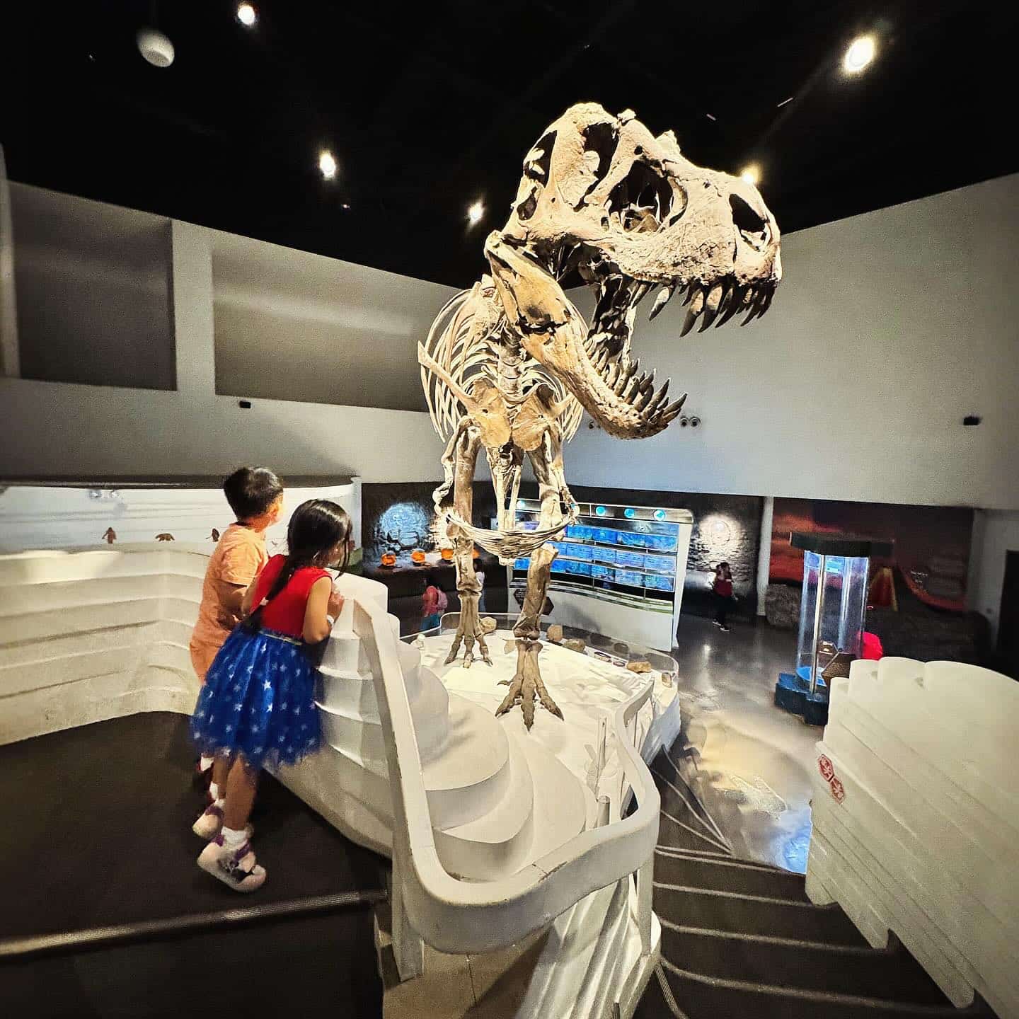 The Mind Museum, Ph The Mind Museum, Ph