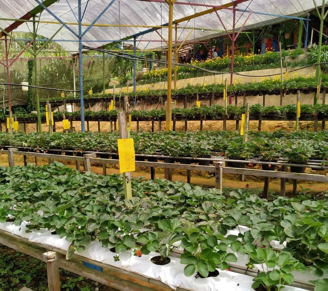 Highlands Apiary Farm