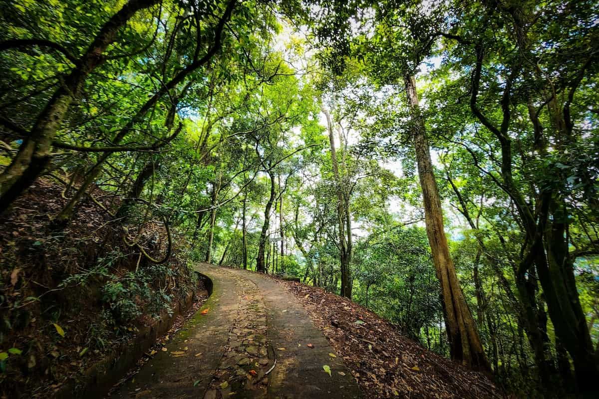 Udawattekele Sanctuary