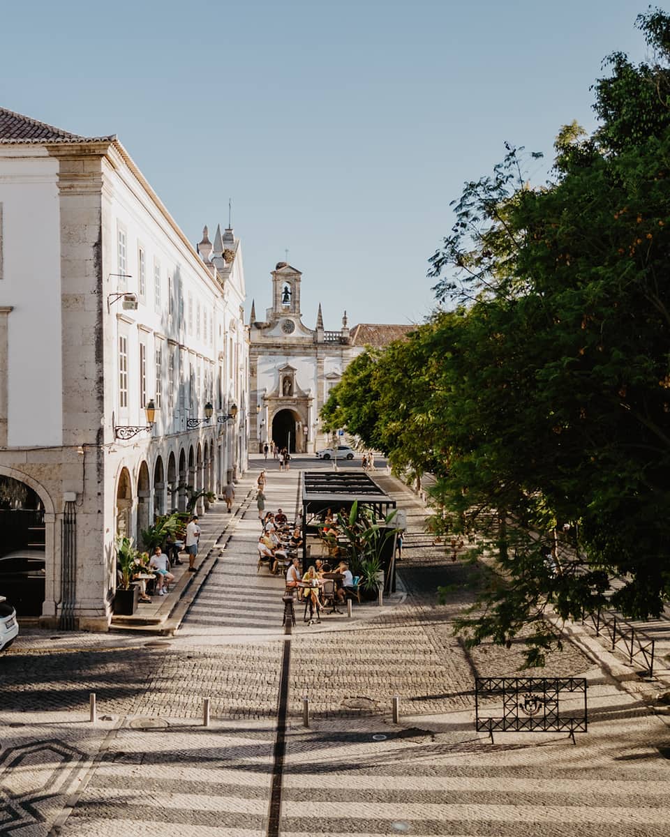 Downtown Faro Columbus Cocktail Downtown Faro Columbus Cocktail