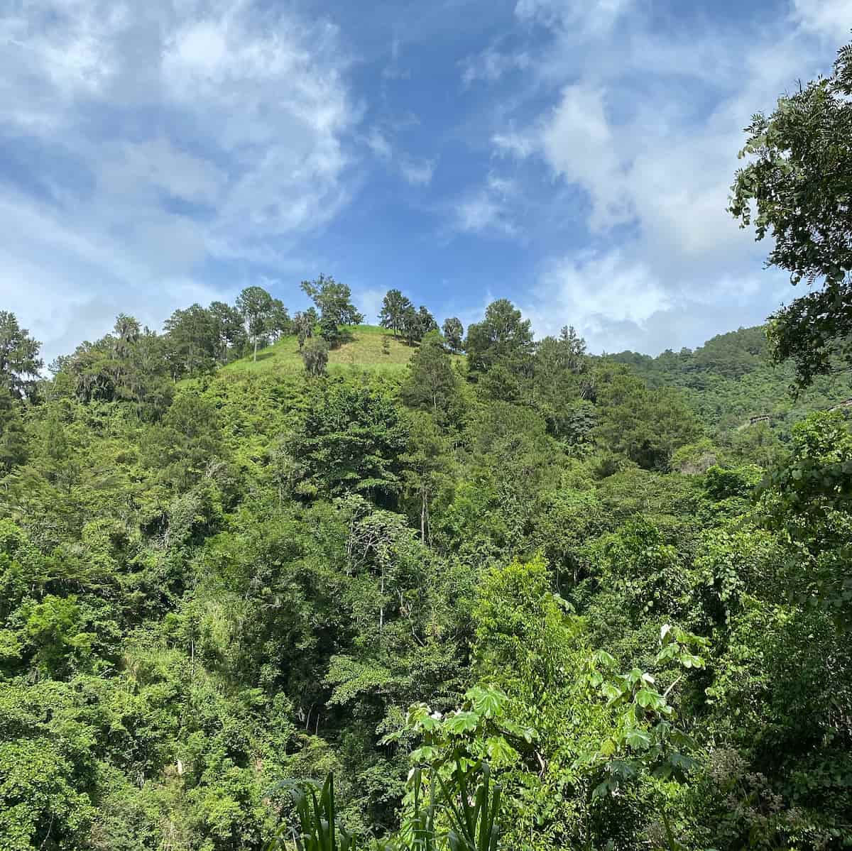 Baiguate Waterfall Jarabacoa Dominican Republic Baiguate Waterfall Jarabacoa Dominican Republic