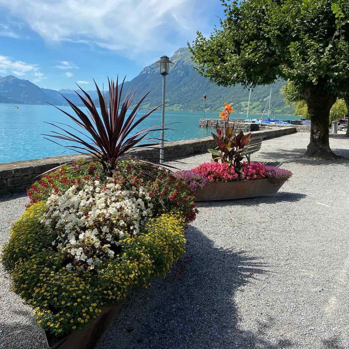 Bernese Oberland, Interlaken Bernese Oberland, Interlaken