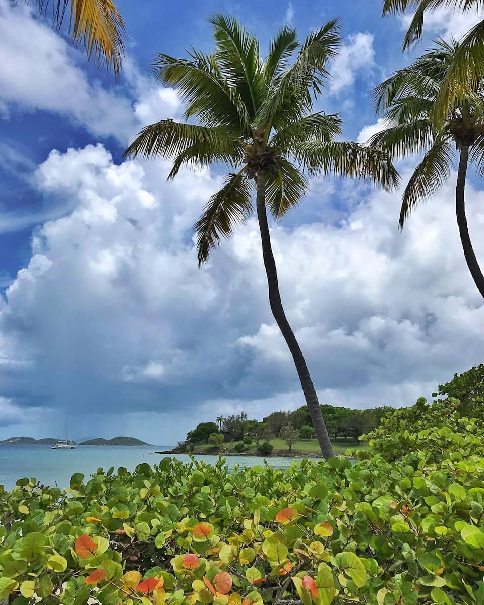 Caneel Bay Area St John USA Caneel Bay Area St John USA