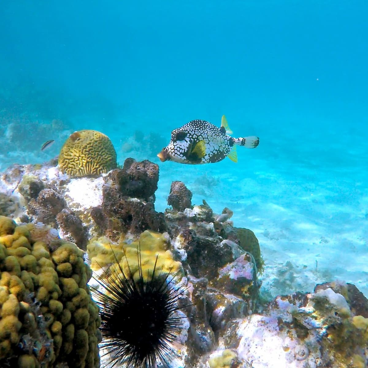 Caneel Bay Area St John USA Caneel Bay Area St John USA