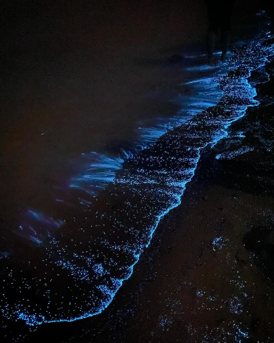 Caneel Bay Area St John USA Caneel Bay Area St John USA