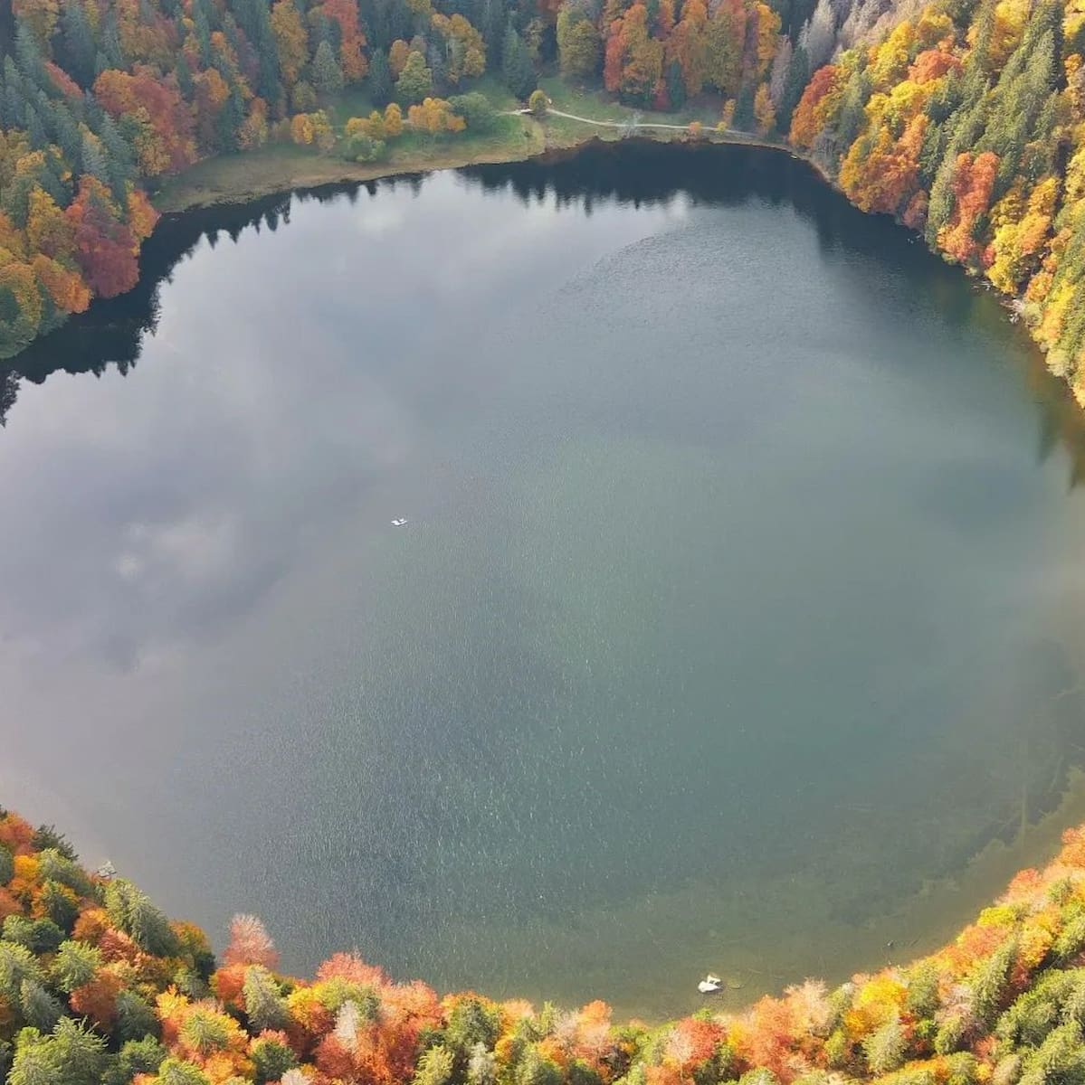 Germany, Black Forest: Feldberg Germany, Black Forest: Feldberg