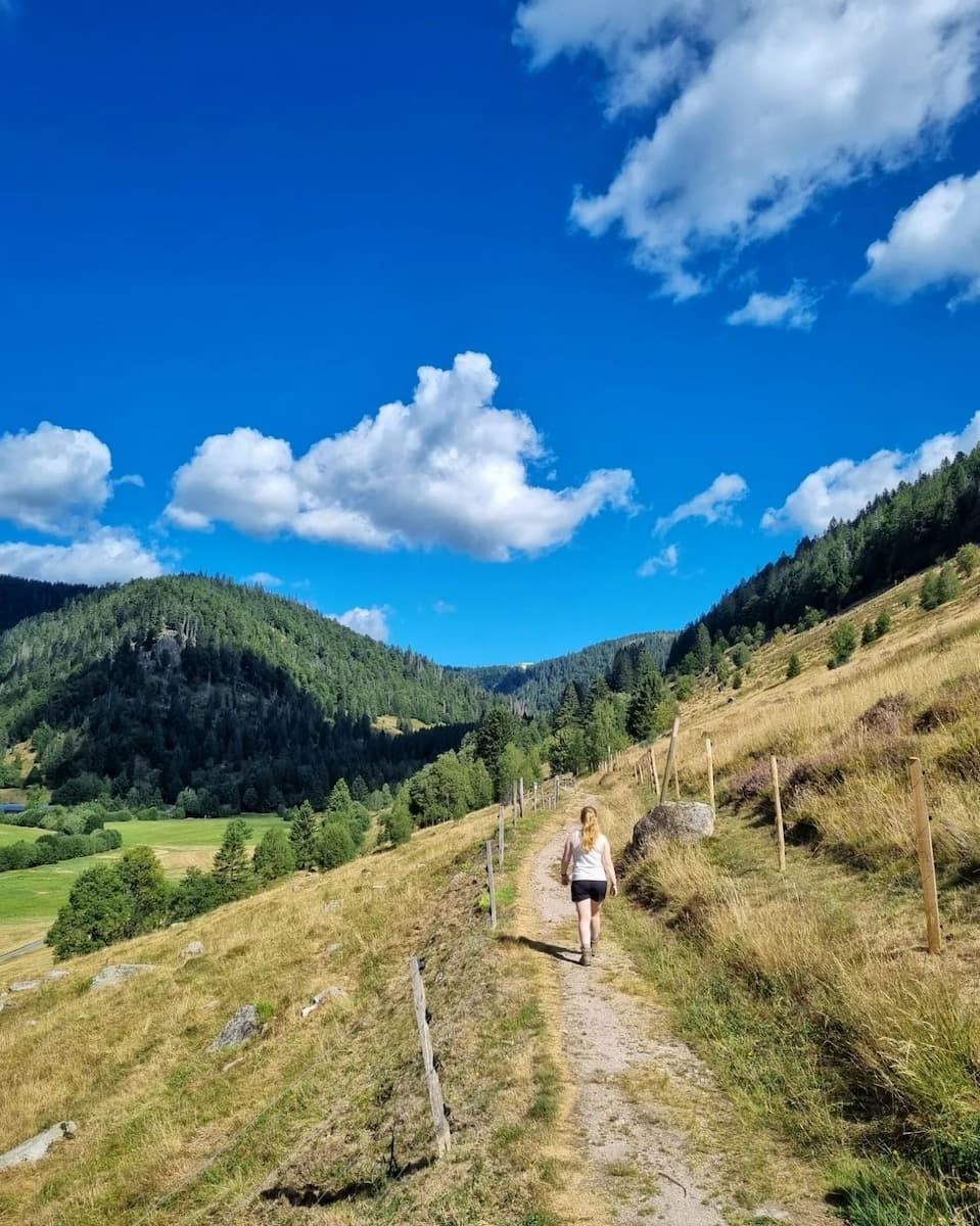 Germany, Black Forest: Titisee Germany, Black Forest: Titisee