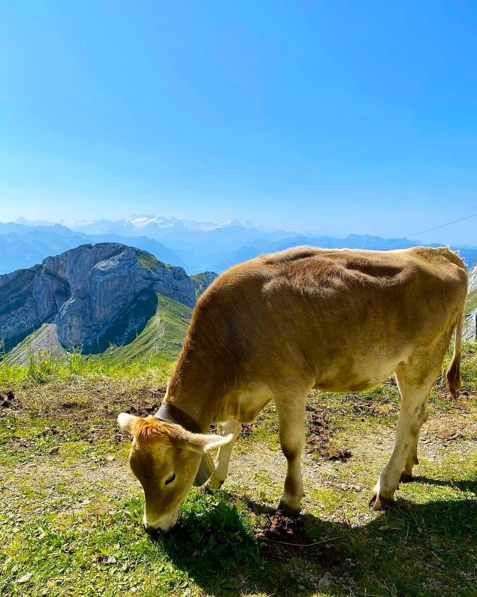 Lucerne, Kriens Lucerne, Kriens