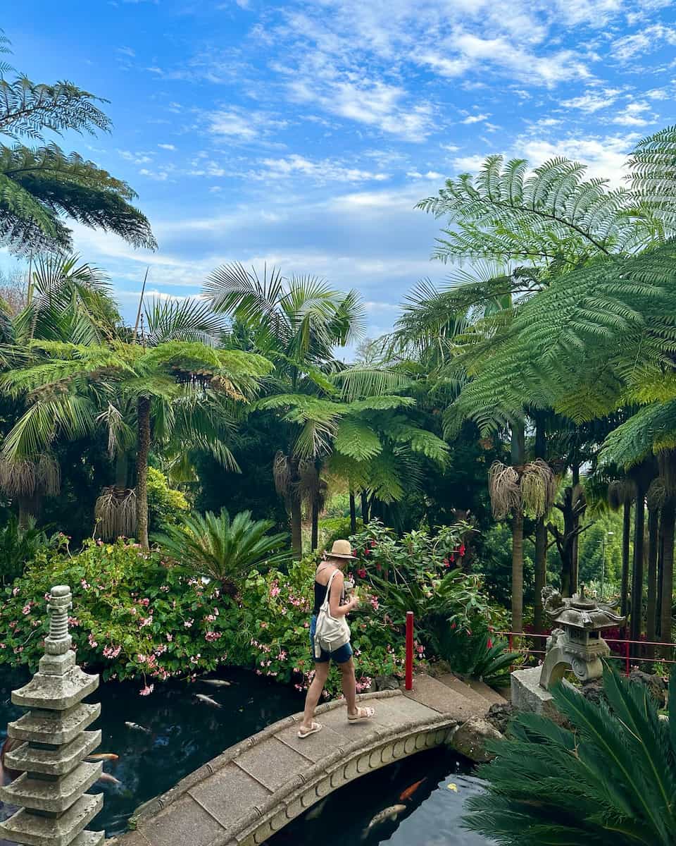 Madeira, Funchal: Se Madeira, Funchal: Se