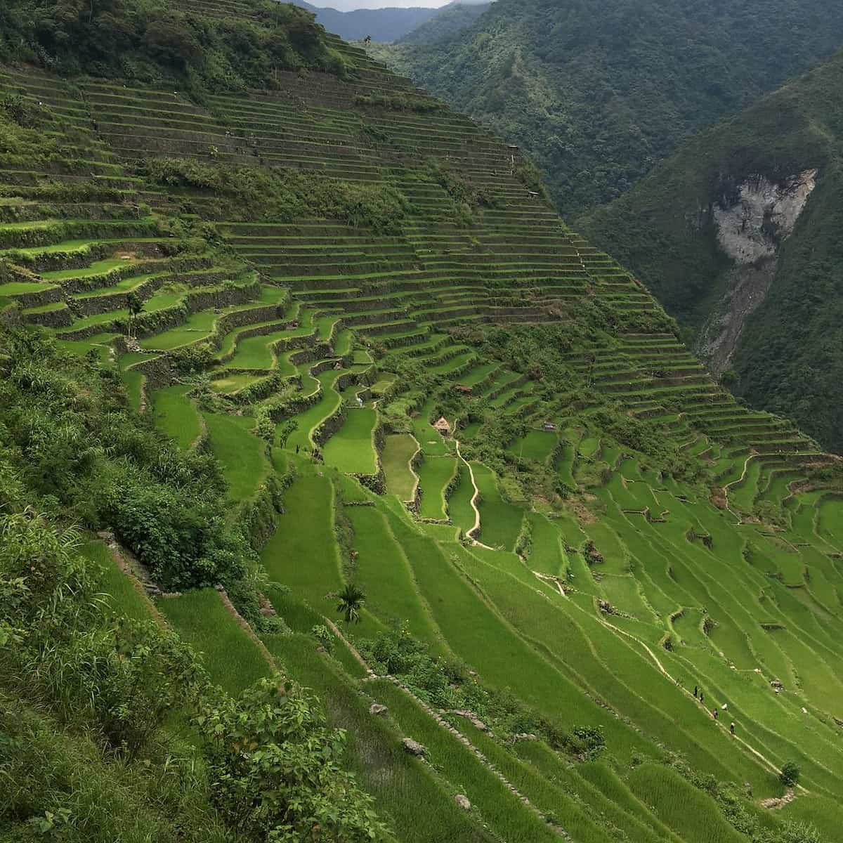 Philippines, Banaue Philippines, Banaue