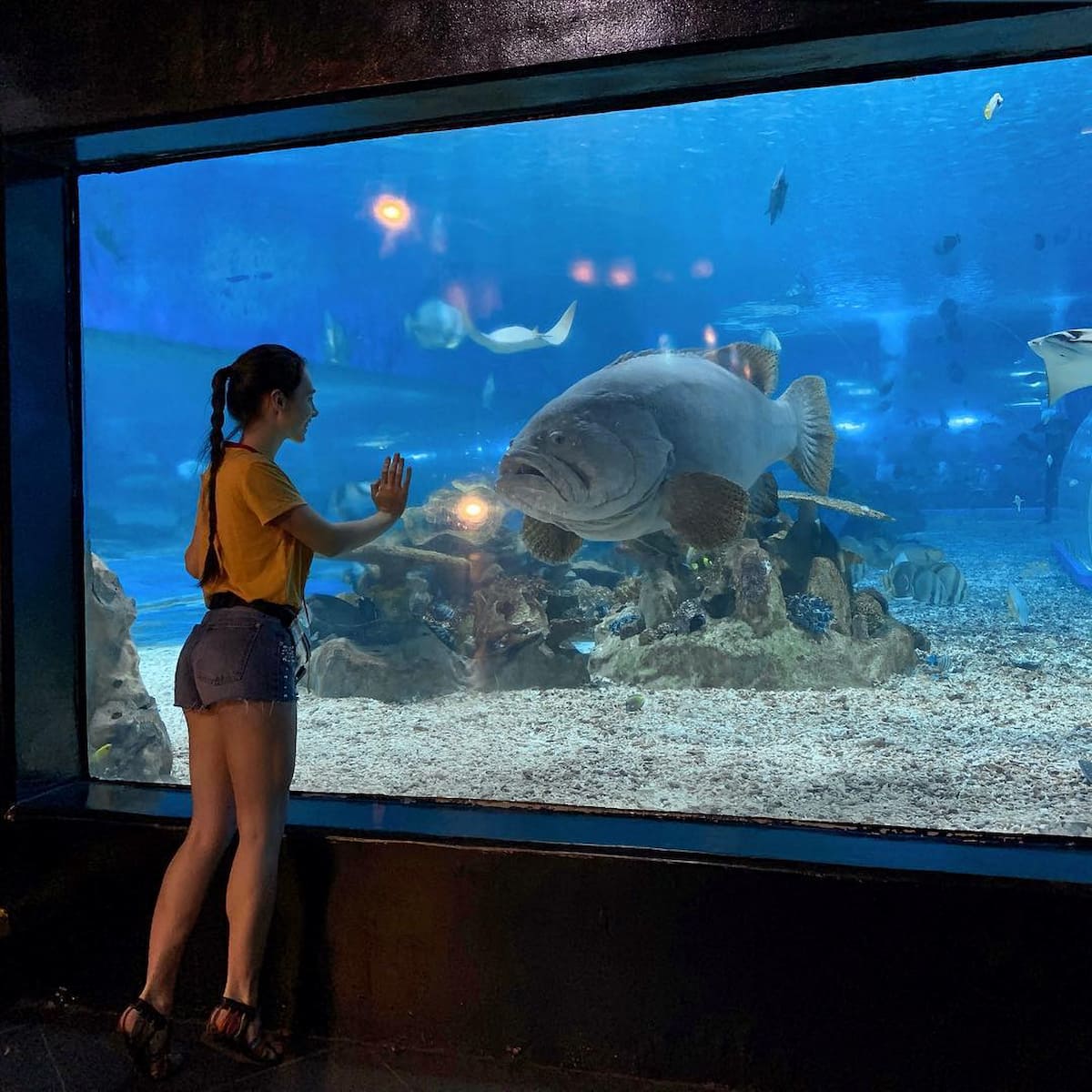 Philippines, Manila Philippines, Manila