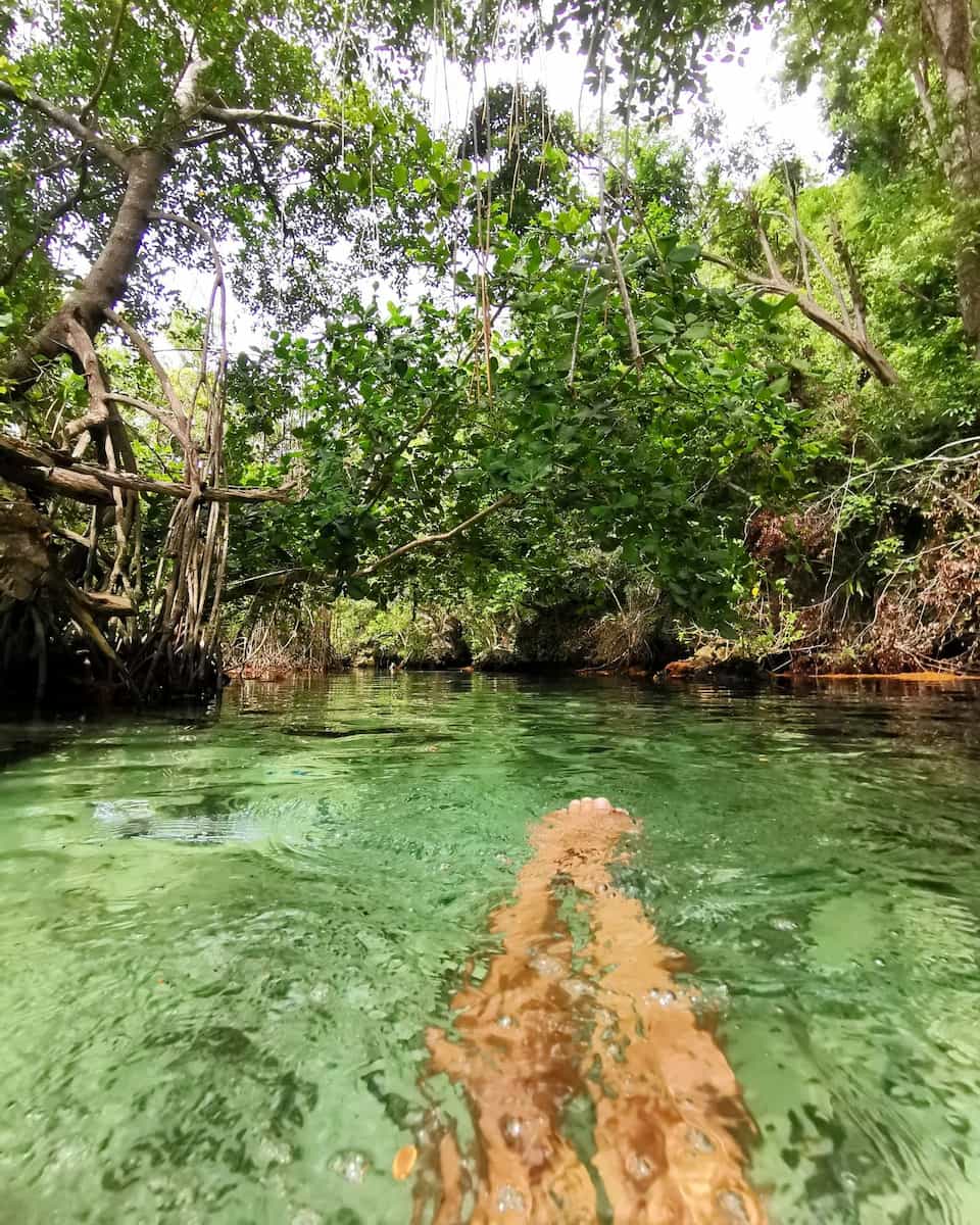 Playa Rincón Samaná Dominican Republic Playa Rincón Samaná Dominican Republic