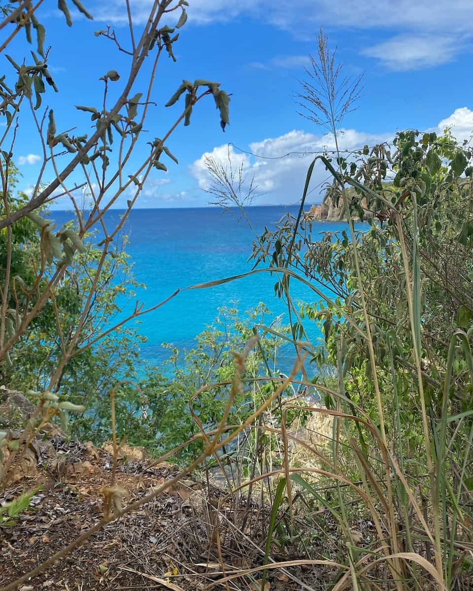 Salt Pond Bay Coral Bay St John USA Salt Pond Bay Coral Bay St John USA