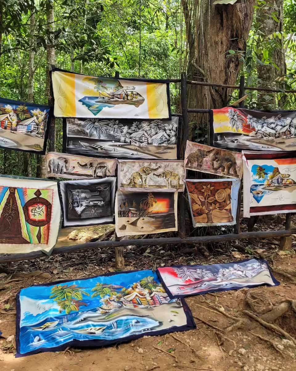 Salto el imon Samana Republica Dominicana Salto el imon Samana Republica Dominicana